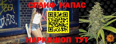 хмурый Бийск