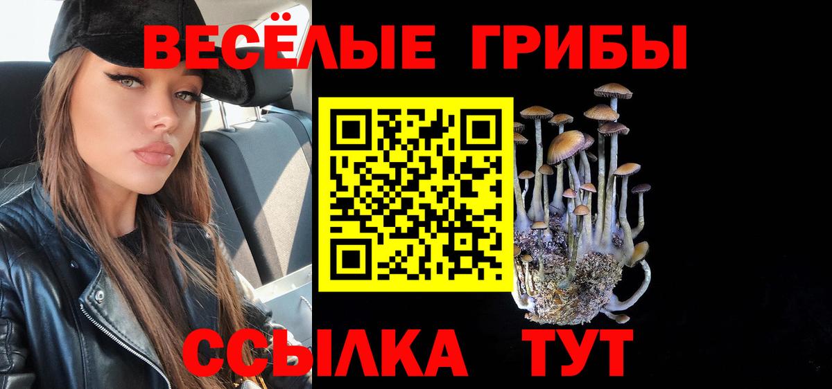 Псилоцибиновые грибы ЛСД  Вход с VPN  Жуковский  закладка  Псилоцибиновые грибы прущие грибы 